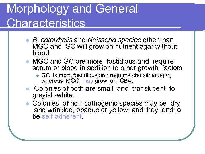 Morphology and General Characteristics l l B. catarrhalis and Neisseria species other than MGC