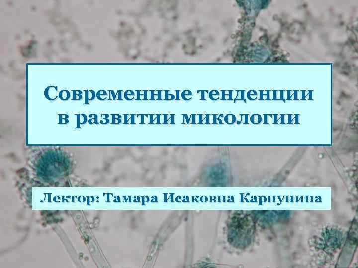 Современные тенденции в развитии микологии Лектор: Тамара Исаковна Карпунина 