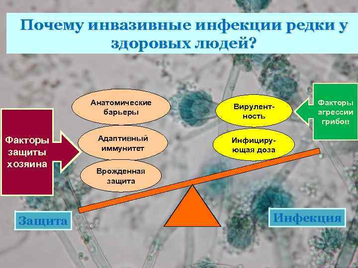 Анатомическими факторами