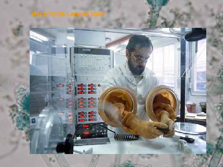 MYCOTOXIN LABORATORY 