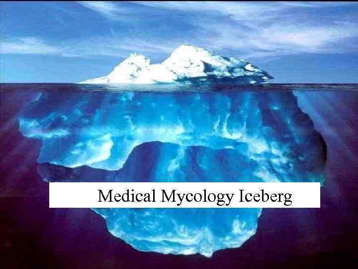 Medical Mycology Iceberg 