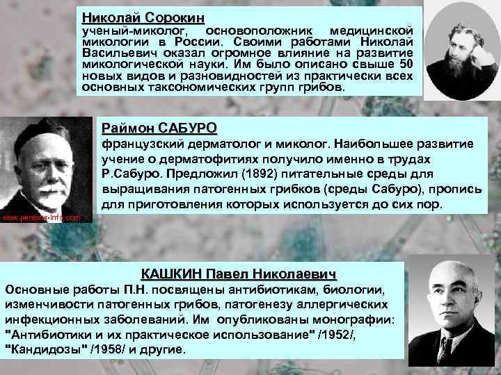 Николай Сорокин ученый-миколог, основоположник медицинской микологии в России. Своими работами Николай Васильевич оказал огромное