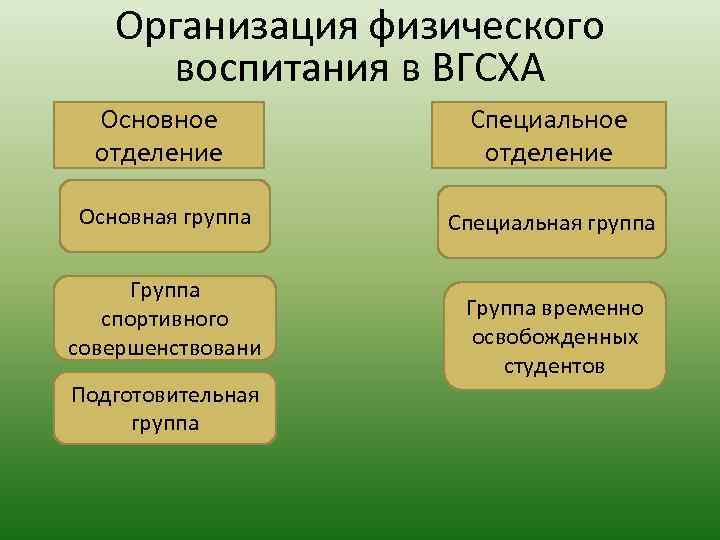 Организация физического воспитания в ВГСХА Основное отделение Специальное отделение Основная группа Специальная группа Группа