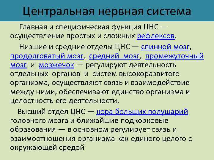 Специфическая система. Социально-биологические основы физической культуры. Понятие о социально-биологических основах физической культуры.. Биологические особы культуры. Специфичные функции нервной системы.