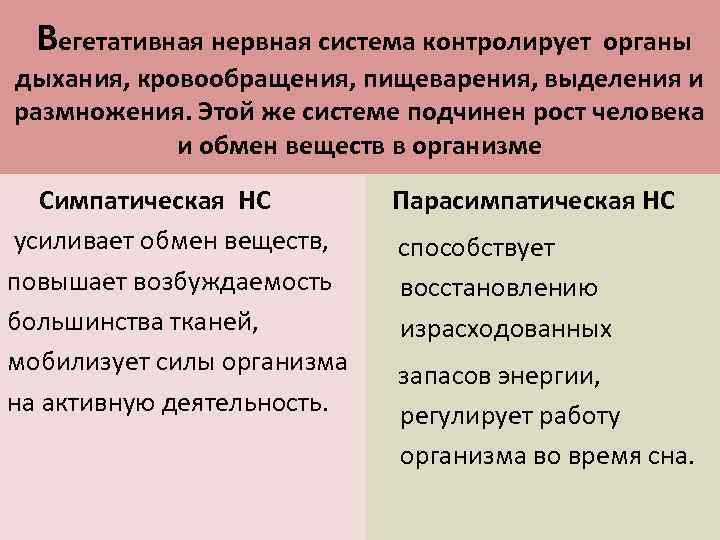  Вегетативная нервная система контролирует органы дыхания, кровообращения, пищеварения, выделения и размножения. Этой же