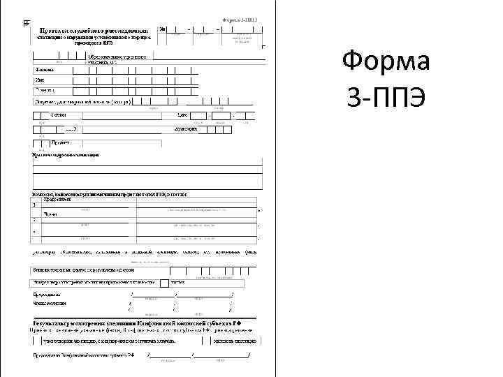 Форма 3 -ППЭ 