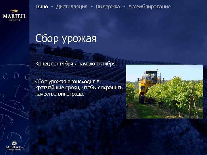 Вино - Дистилляция - Выдержка - Ассемблирование Сбор урожая Конец сентября / начало октября