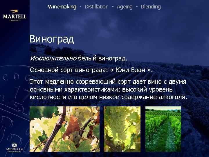 Winemaking - Distillation - Ageing - Blending Виноград Исключительно белый виноград. Основной сорт винограда:
