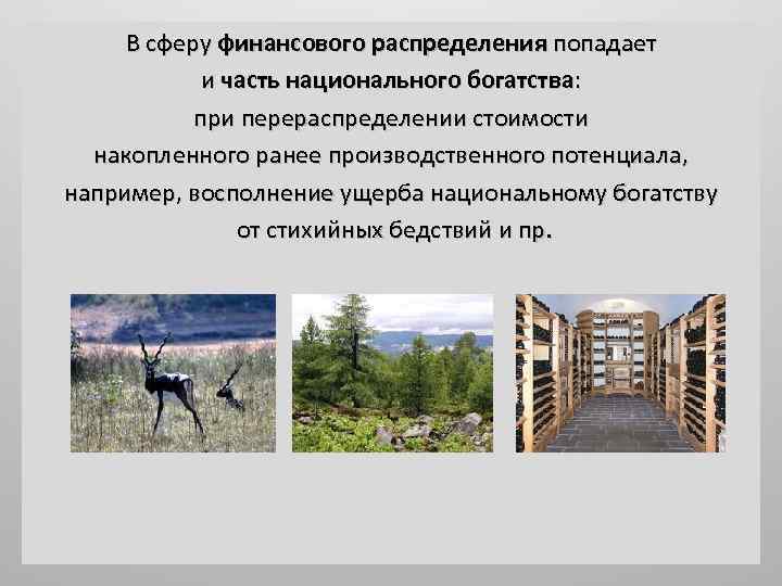 В сферу финансового распределения попадает и часть национального богатства: при перераспределении стоимости накопленного ранее