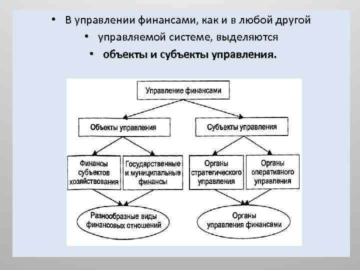 Объекты финансового управления организации