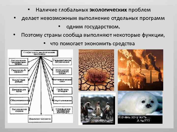 Явления относящиеся к глобальным экологическим проблемам