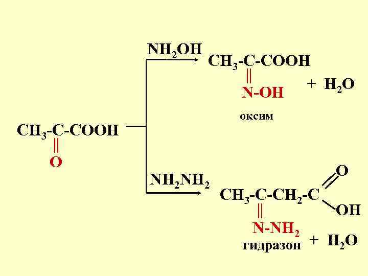 NH 2 OH CH 3 -C-COOH + H 2 O N-OH оксим CH 3