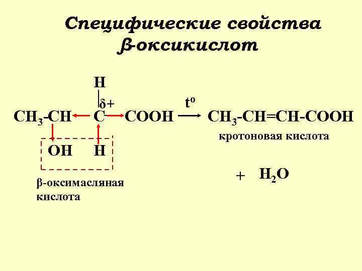 Специфические свойства β-оксикислот H CH 3 -CH OH δ+ C H β-оксимасляная кислота COOH