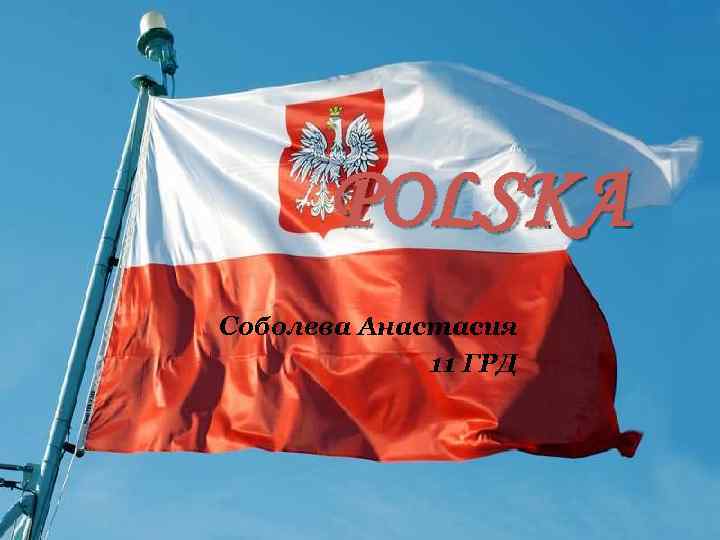 POLSKA Соболева Анастасия 11 ГРД 