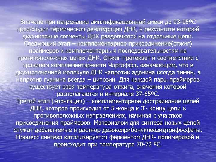 Вначале при нагревании амплификационной смеси до 93 -95 ºС происходит термическая денатурация ДНК, в