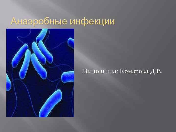 Анаэробные инфекции Выполнила: Комарова Д. В. 