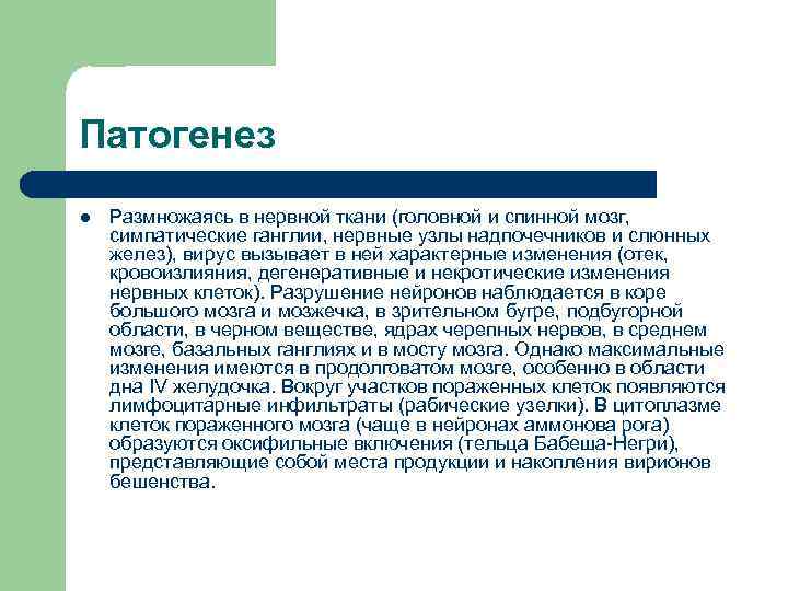 Патогенез l Размножаясь в нервной ткани (головной и спинной мозг, симпатические ганглии, нервные узлы