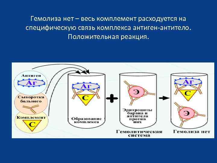 Гемолиза нет – весь комплемент расходуется на специфическую связь комплекса антиген-антитело. Положительная реакция. 