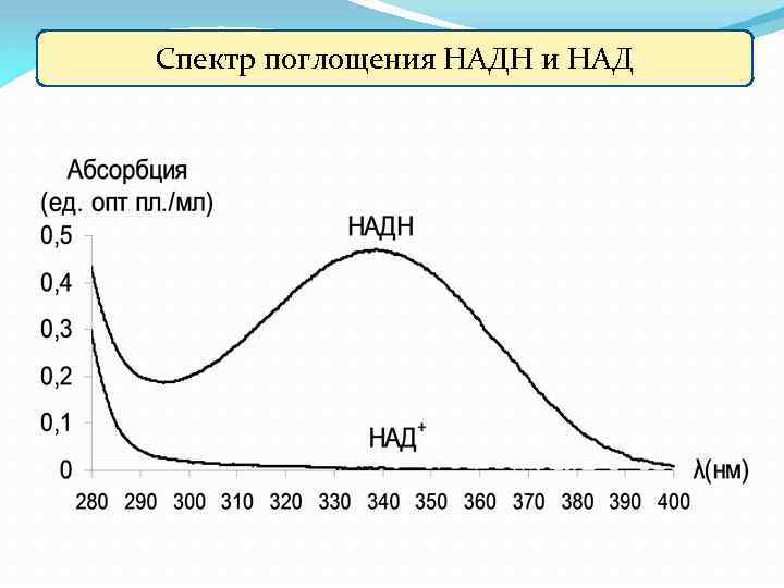 Спектр поглощения НАДН и НАД 