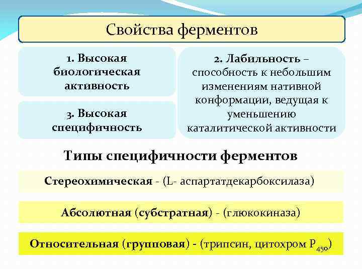 Свойства ферментов 1. Высокая биологическая активность 3. Высокая специфичность 2. Лабильность – способность к