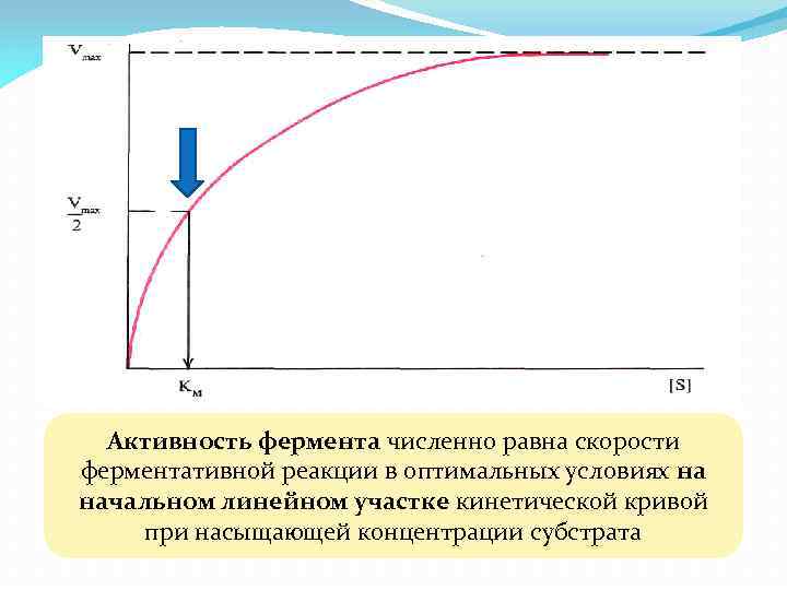 Кинетическая кривая ферментативной реакции. Влияние концентрации субстрата на скорость ферментативной реакции. Уравнение активности фермента. Кинетическая кривая субстрата.