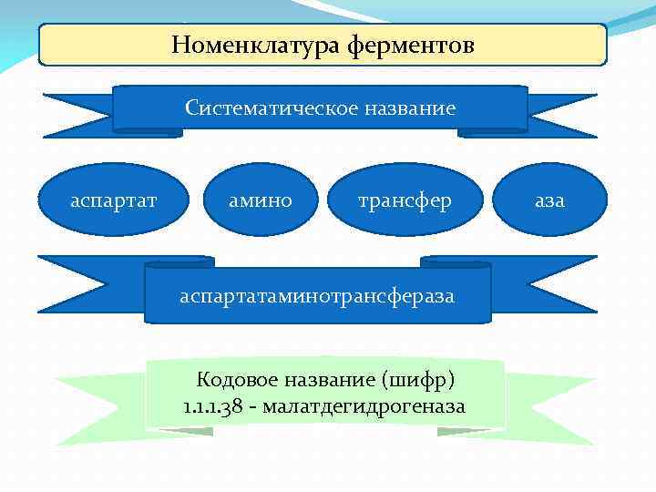 Номенклатура ферментов Систематическое название аспартат амино трансфер аспартатаминотрансфераза Кодовое название (шифр) 1. 1. 1.