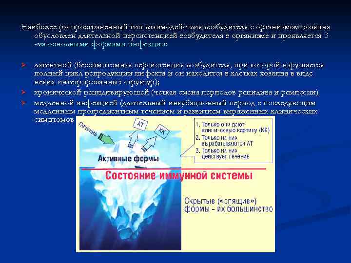 Наиболее распространенный тип взаимодействия возбудителя с организмом хозяина обусловлен длительной персистенцией возбудителя в организме