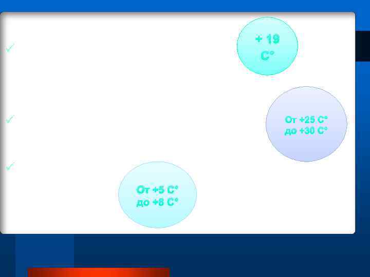 ü Средняя üВ температура экваториальных широтах ü На севере От +5 С° до +8