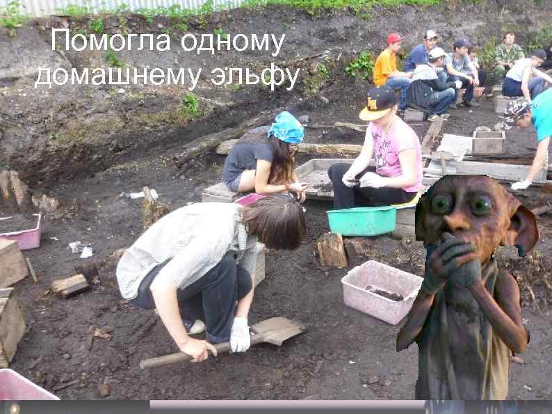 Помогла одному домашнему эльфу 