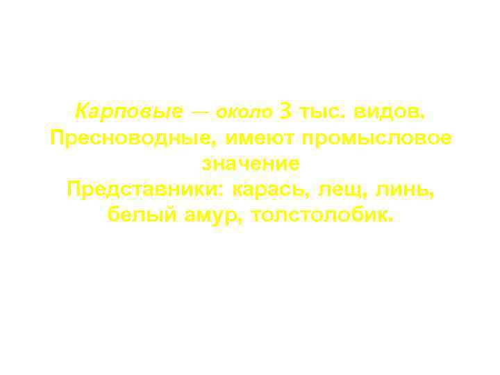 Карповые — около 3 тыс. видов. Пресноводные, имеют промысловое значение Представники: карась, лещ, линь,