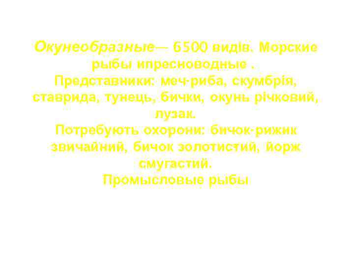 Окунеобразные— 6500 видів. Морские рыбы ипресноводные. Представники: меч-риба, скумбрія, ставрида, тунець, бички, окунь річковий,