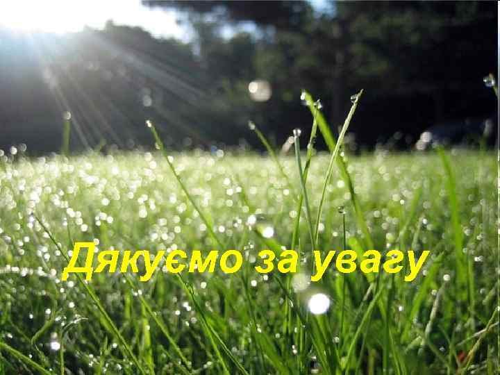 Кінець Дякуємо за увагу 