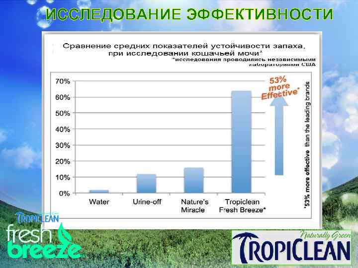 ИССЛЕДОВАНИЕ ЭФФЕКТИВНОСТИ. 