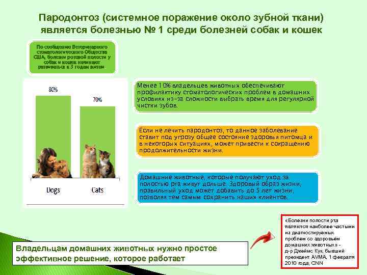 Пародонтоз (системное поражение около зубной ткани) является болезнью № 1 среди болезней собак и