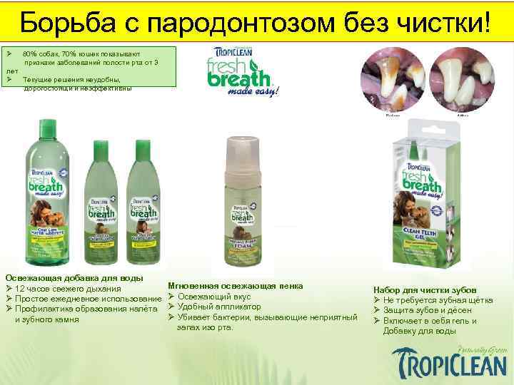 Борьба с пародонтозом без чистки! Ø 80% собак, 70% кошек показывают признаки заболеваний полости