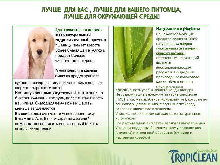 ЛУЧШЕ ДЛЯ ВАС , ЛУЧШЕ ДЛЯ ВАШЕГО ПИТОМЦА, ЛУЧШЕ ДЛЯ ОКРУЖАЮЩЕЙ СРЕДЫ! Здоровая кожа