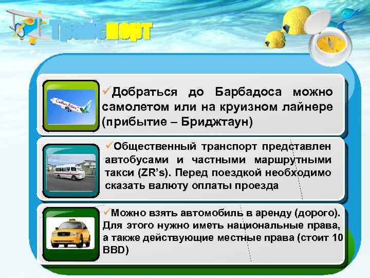 Транспорт üДобраться до Барбадоса можно самолетом или на круизном лайнере (прибытие – Бриджтаун) üОбщественный