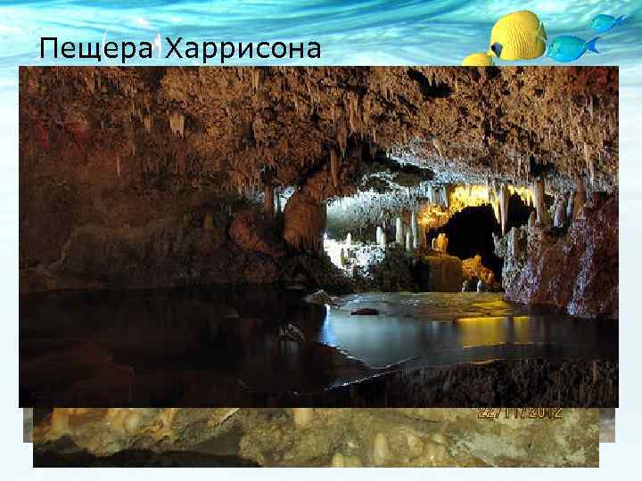 Пещера Харрисона v Настоящим чудом Барбадоса можно по праву назвать пещеру Харрисона Она привлекает