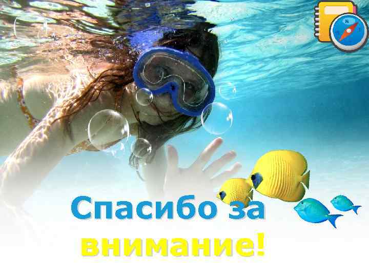 LOGO Спасибо за внимание! внимание 