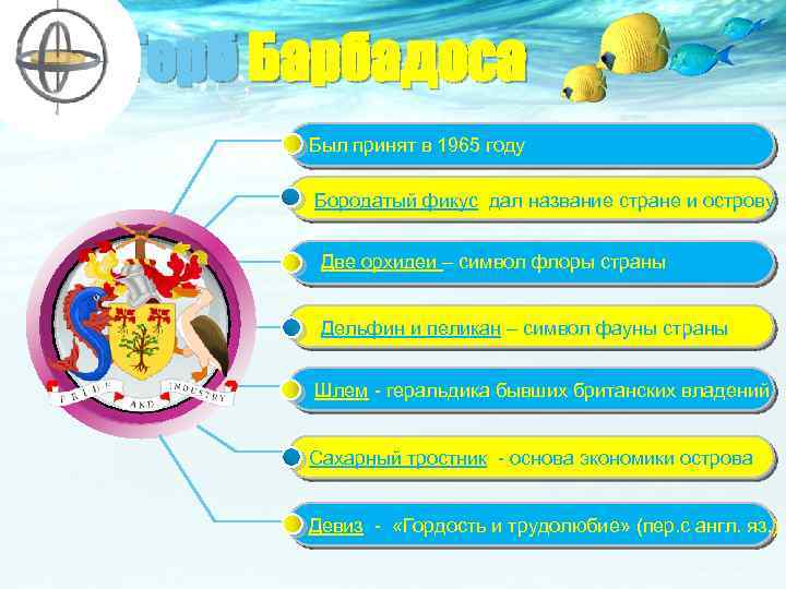 Герб Барбадоса Был принят в 1965 году Бородатый фикус дал название стране и острову
