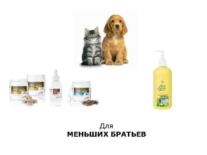 Для МЕНЬШИХ БРАТЬЕВ 