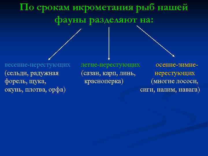 По срокам икрометания рыб нашей фауны разделяют на: весенне-нерестующих (сельди, радужная форель, щука, окунь,