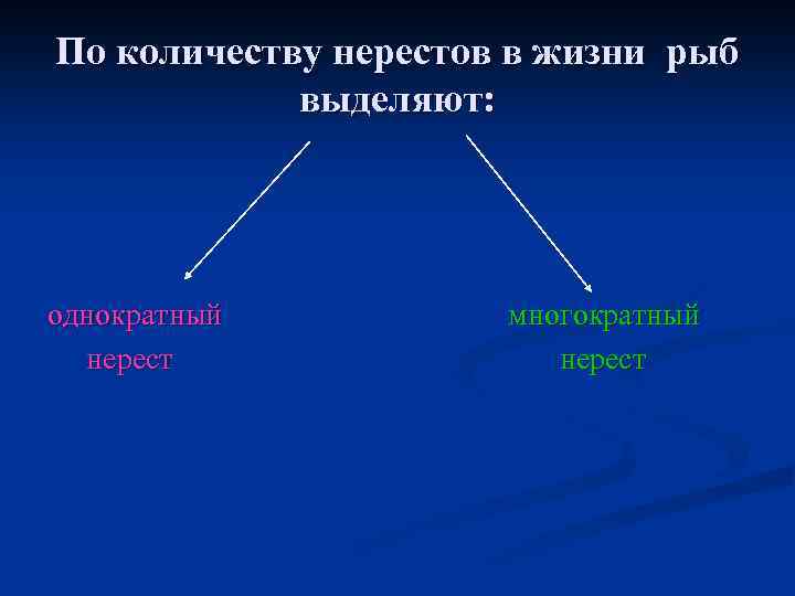 По количеству нерестов в жизни рыб выделяют: однократный нерест многократный нерест 