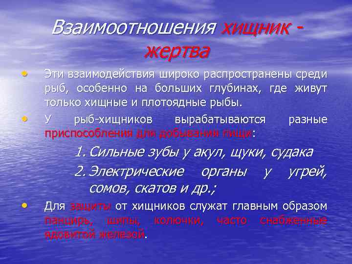 Взаимоотношения хищник жертва • • • Эти взаимодействия широко распространены среди рыб, особенно на