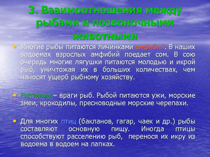 3. Взаимоотношения между рыбами и позвоночными животными • Многие рыбы питаются личинками амфибий. В