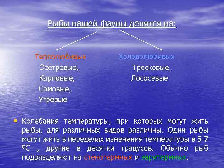 Рыбы нашей фауны делятся на: Теплолюбивых Осетровые, Карповые, Сомовые, Угревые Холодолюбивых Тресковые, Лососевые •