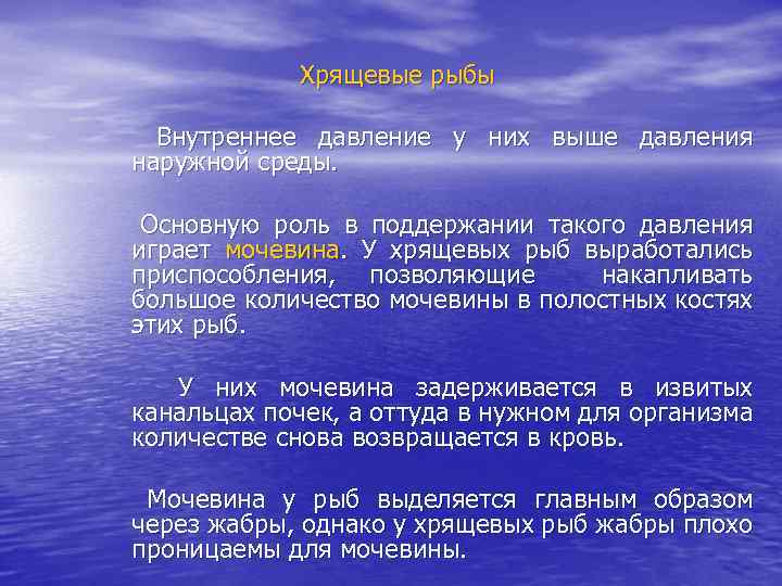 Хрящевые рыбы Внутреннее давление у них выше давления наружной среды. Основную роль в поддержании