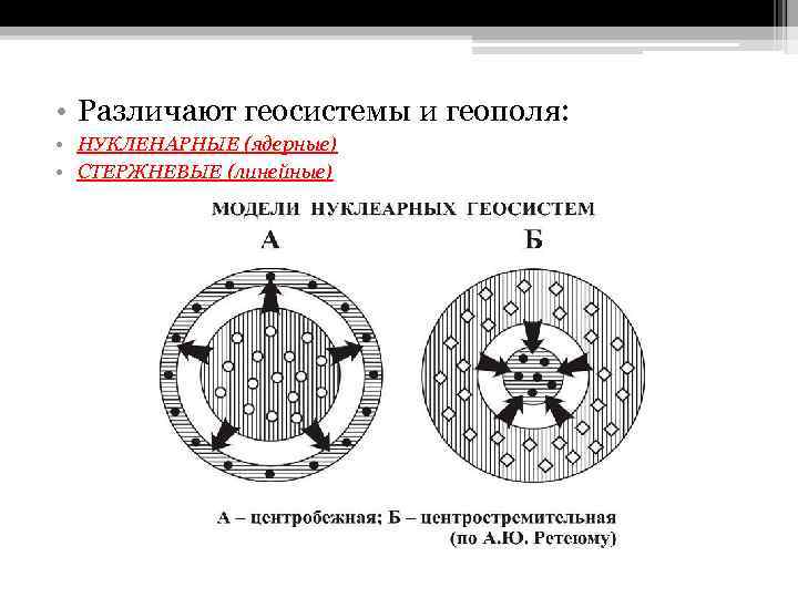 Геосистема. Модель геосистемы. Нуклеарные геосистемы. Парагенетические геосистемы. Нуклеарные геосистемы в ландшафтоведении.