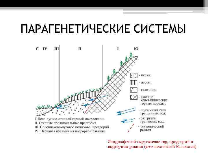ПАРАГЕНЕТИЧЕСКИЕ СИСТЕМЫ Ландшафтный парагенезис гор, предгорий и подгорных равнин (юго-восточный Казахстан) 