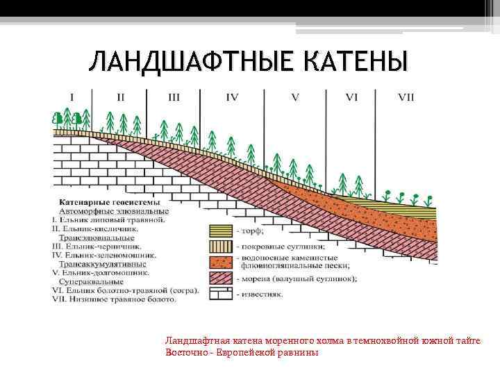 Таблица ландшафтов география